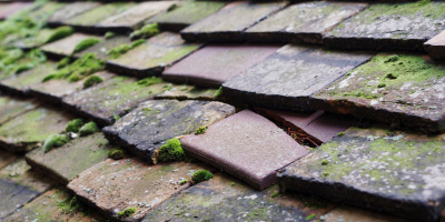 Llanfaes roof repair costs